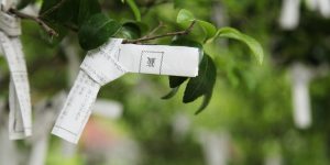 オーディションで使えるジンクスについて解説した記事中のイメージ画像です。木の枝にくくりつけられたおみくじがアップで写っています。